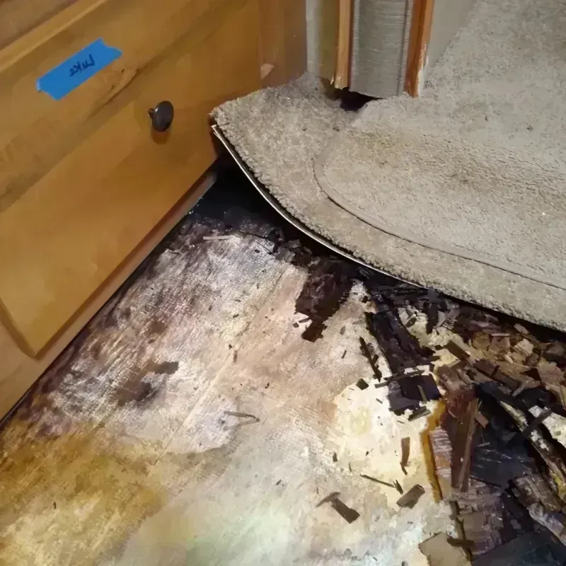 Wood Floor Water Damage in Livingston, CA